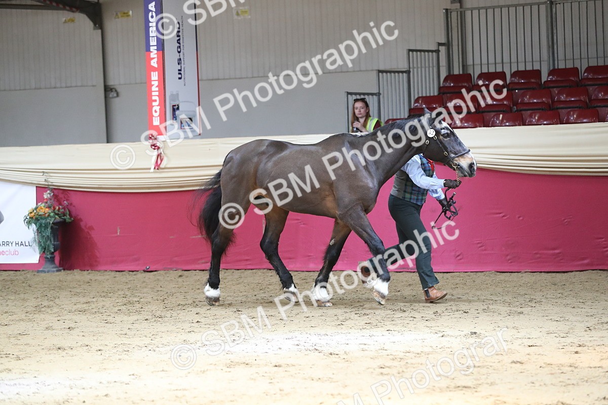 SBM_04318 - Class 7R Regional - IH Diamond