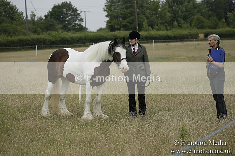 B230619-0043 - Bourne Valley Riding Club Summer Show 23/06/19