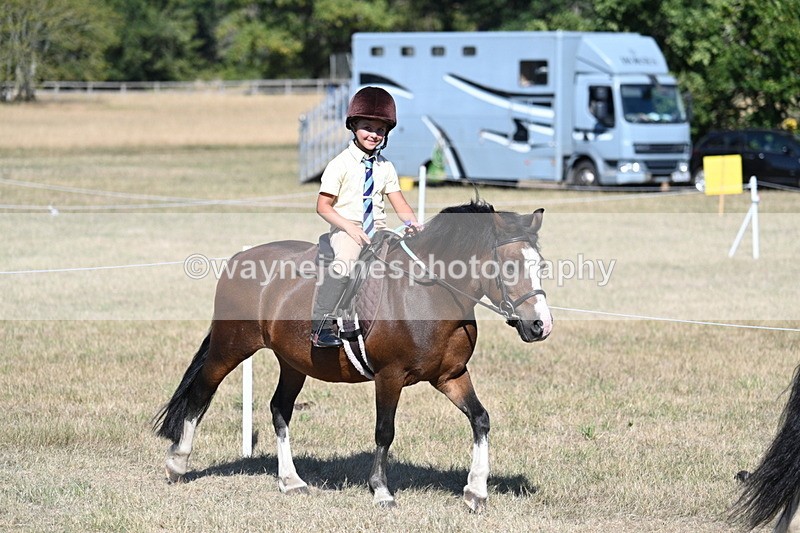 WJ7_2036 - Class 44 Child's Best Friend