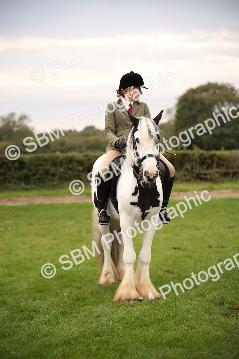 SBM_73471 - S68 - Traditional Cob Ridden