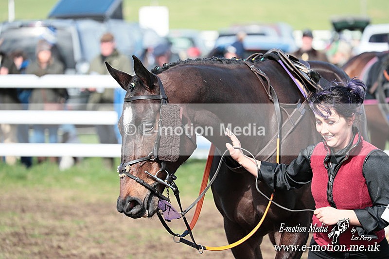 PtP 230324 237 - Tedworth Hunt PtP Larkhill Raccourse 23rd March 2024