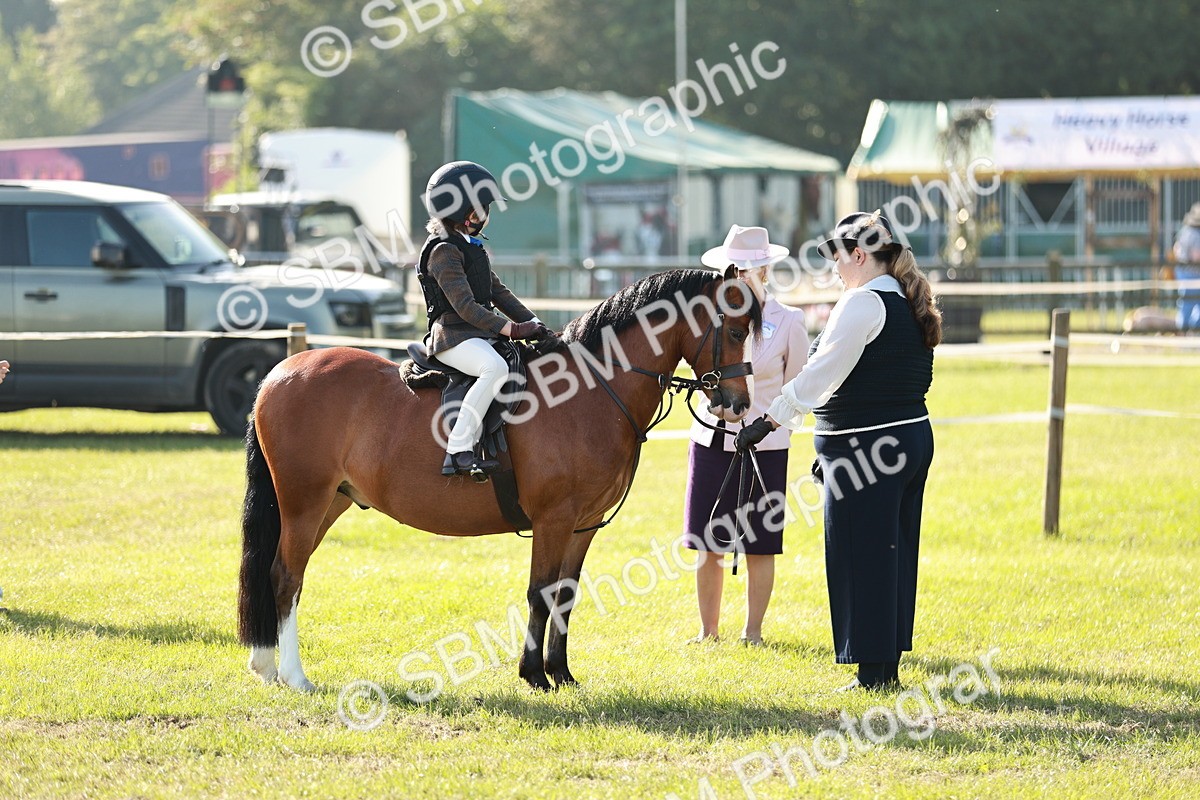 SBM_11138 - Class 106-107 - BSPS LIHS Working Sports Pony