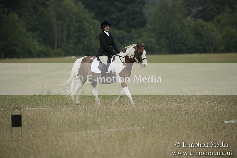 B230619-0215 - Bourne Valley Riding Club Summer Show 23/06/19