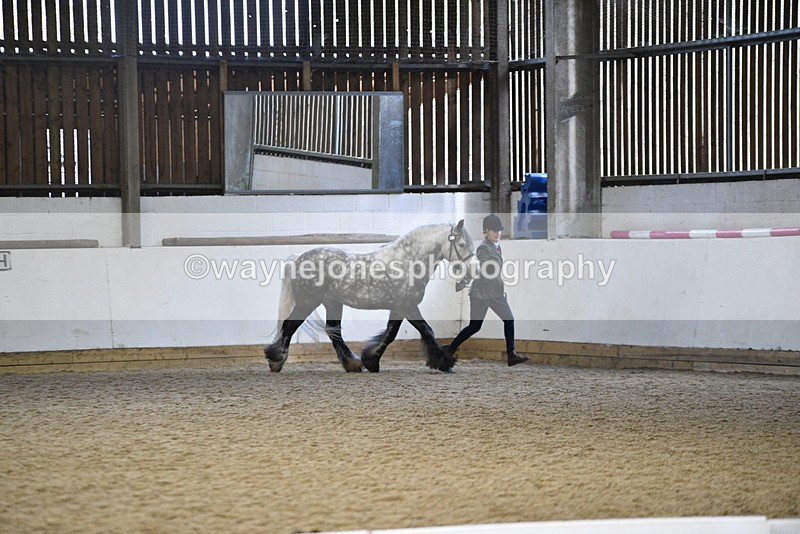 WJ5_5194 - Class 8 In hand cob