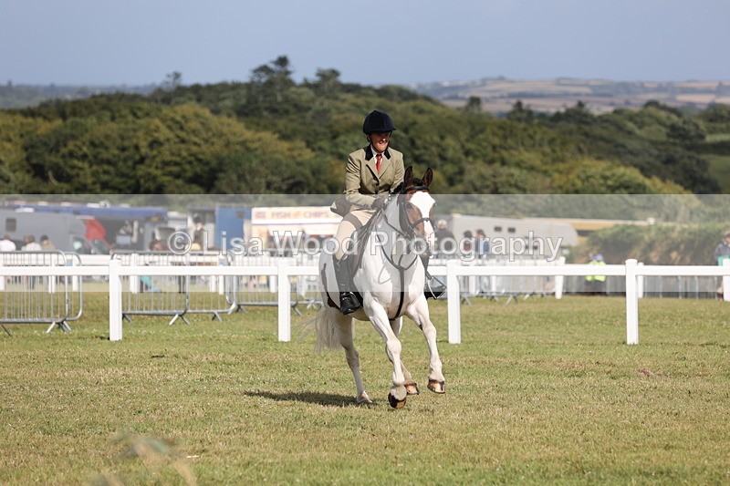 JPP_2806 - Class 20: Working Hunter 70cm