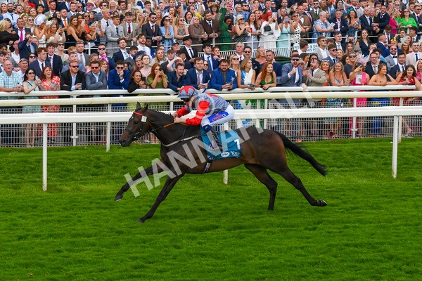 290723-Race 7-Bajan Bandit-1112 - Race 7 5.45pm Sky Bet Extra Places Every Day Handicap