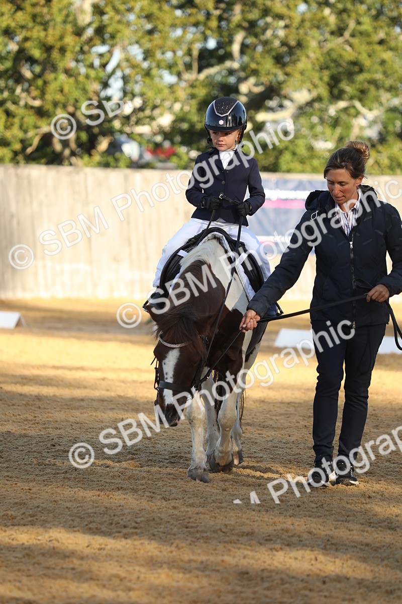 SBM_33700 - D26 - Starers - Lead Rein