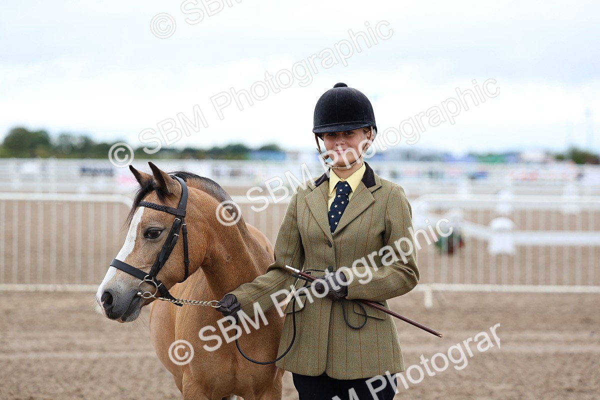 SBM_00247 - Class 13 - Young Handler
