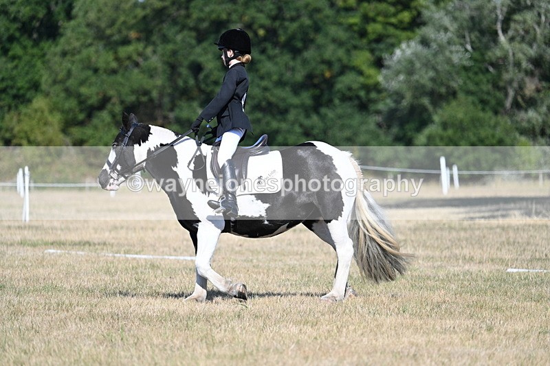 WJ7_9370 - Time 10:08 to 10:13