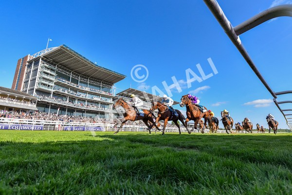 160525-Race 7-Delicacy-2817 - Race 7 5.30pm Yorkshire Equine Practice Handicap