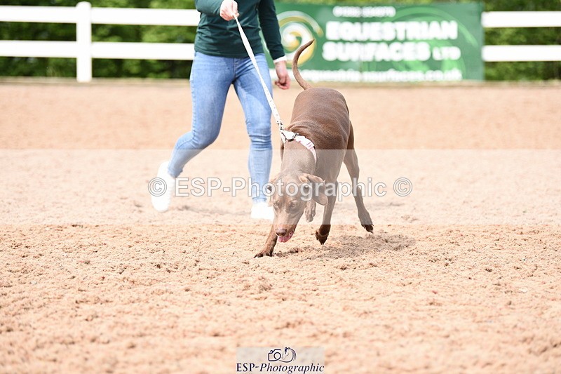 240518A-114622-00824 - Cls 2 Prettist Bitch