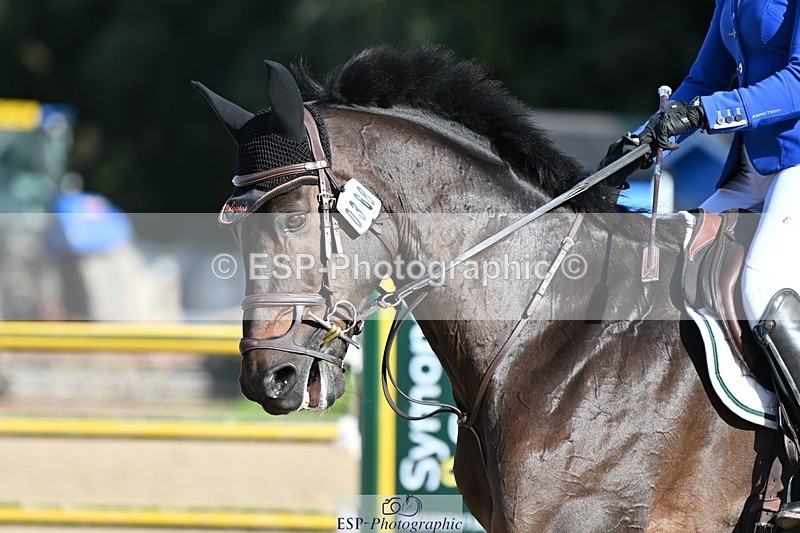 231022-121157-26586 - 368-CHACTAS.CHALONGES-Berengere.Itier-SJ