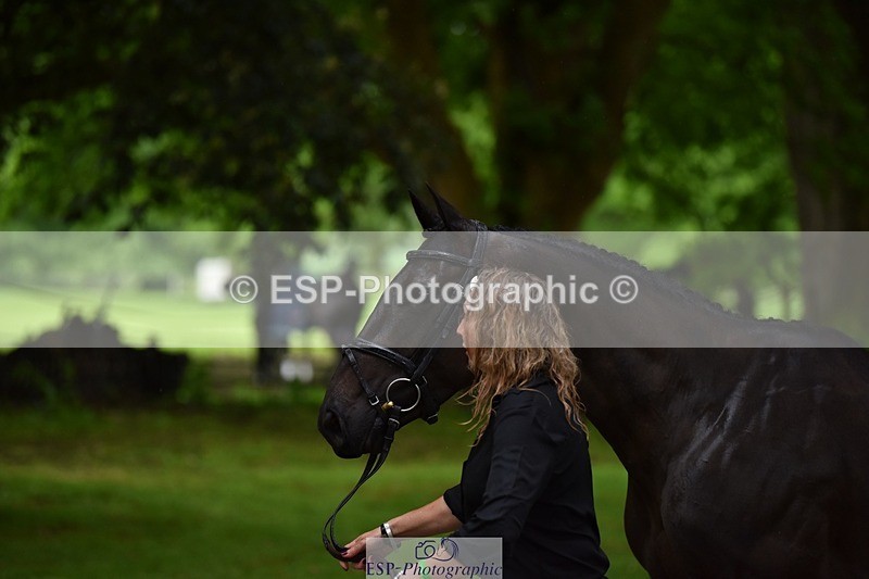 240522-153340-00431 - 376-STORM_BLUE_CURTIS-Phoebe_Buckley