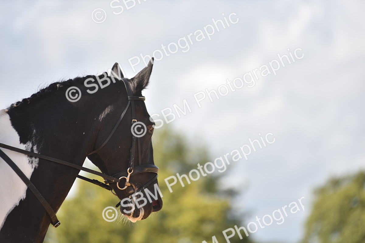 SBM_24310 - D4 - Small Tour Championship Intro 4