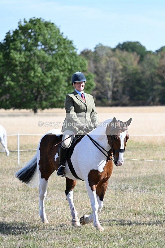 WJ7_3065 - Class 8 Ridden Tack & Turnout