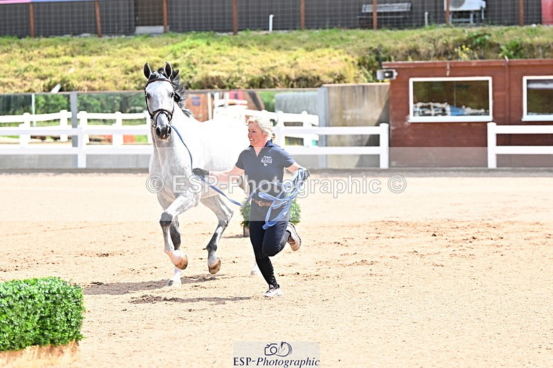 240718A-105236-00910 - Trot Up 11am to 12pm