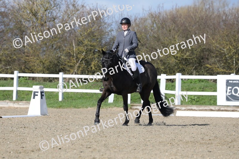 20260314-4860 - CT6 - Elementary 1