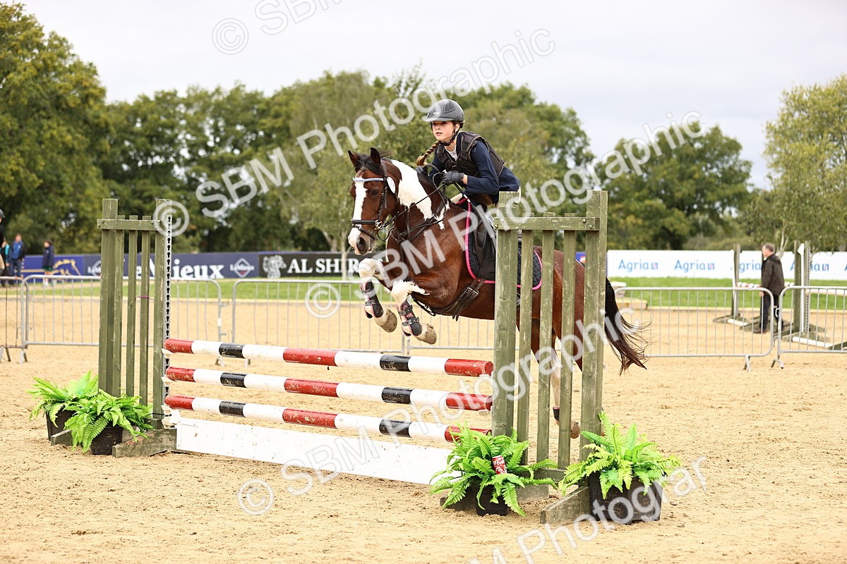 SBM_66704 - J17 - Junior Pony 80cm Championship