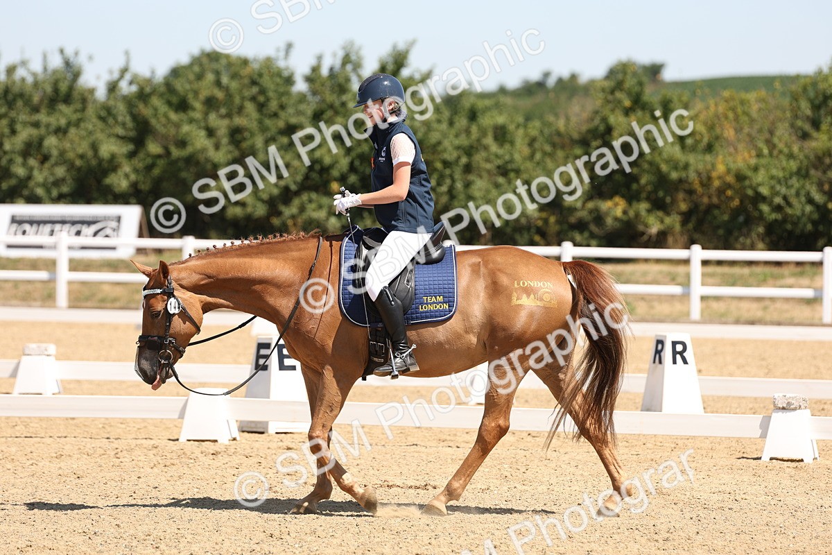SBM_001242 - Intro 2