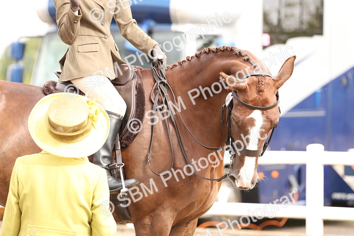 SBM_02841 - Class 53 - Ridden Competition Horse/Pony