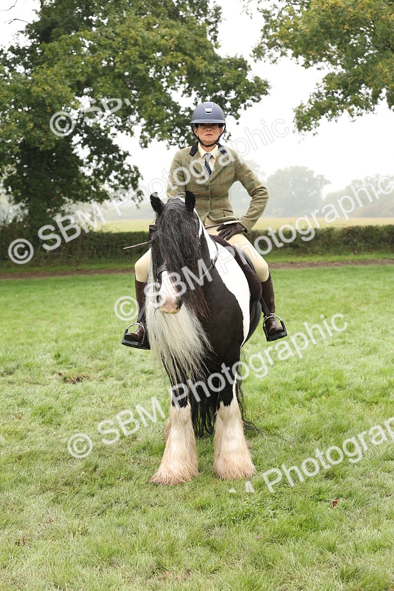 SBM_72812 - S70 - Traditional Cob Ridden