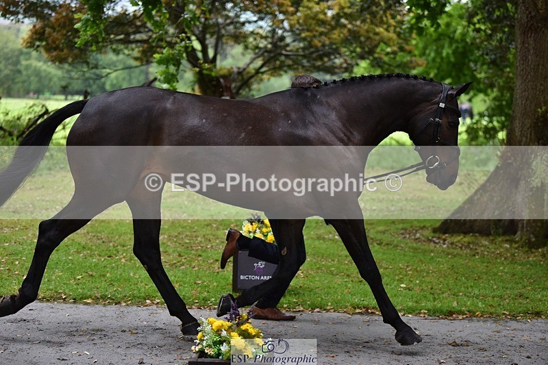 240522-152204-00290 - 325-MIDNIGHT_ENDEAVOUR-Tom_Jackson