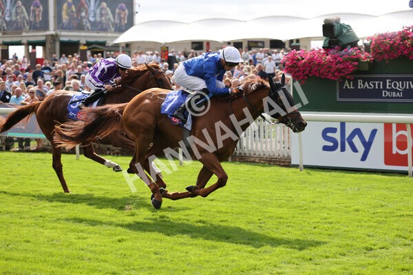 yr18082021r3-69 - Race 3 3.00pm Sky Bet Great Voltigeur Stakes