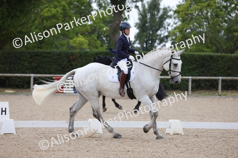 20250820-0323 - Class 11 - My Quest Novice 3