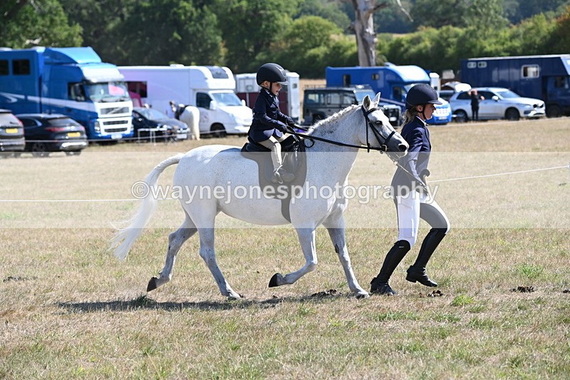 WJ6_7761 - Class 36 Lead Rein