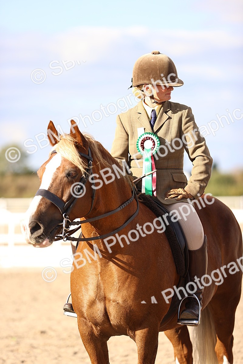 SBM_18286 - Class 423 - Equitation (best rider) Adult