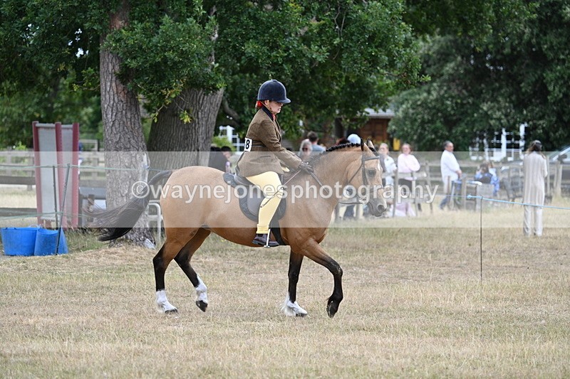 WJ7_7378 - Class 2 Best Rider