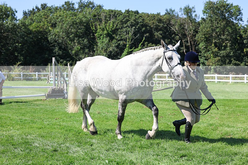 3E7A8485 - Class 4: Novice working Hunter