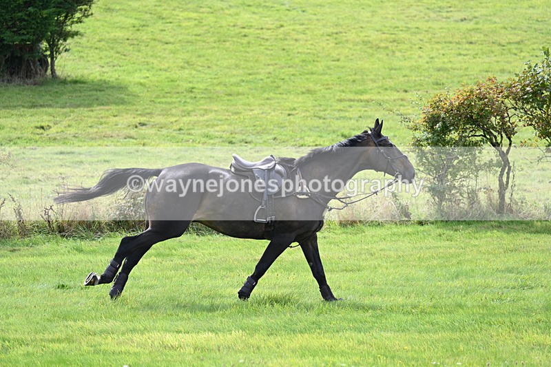 WJ7_7434 - Time 13:21 to 13:29