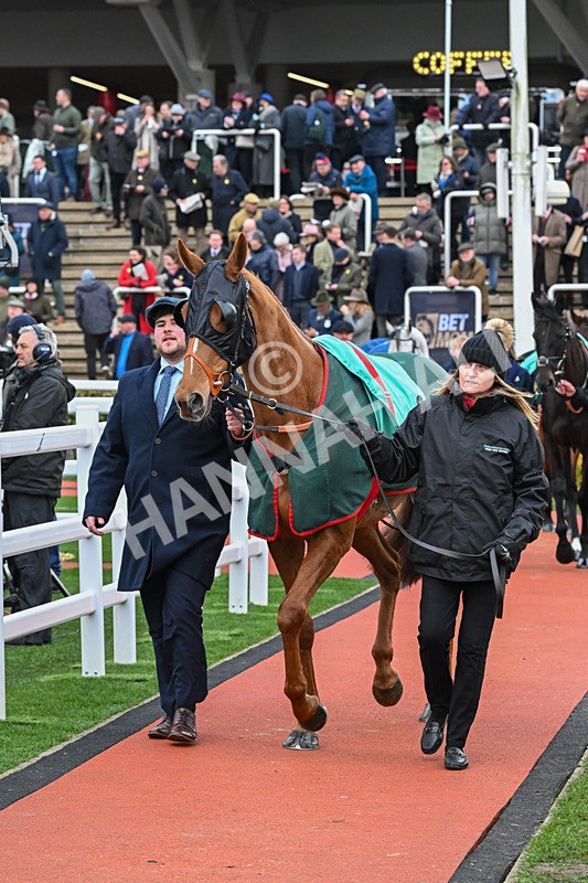 120325-Fringill Dike-WR-7733 - 12th March