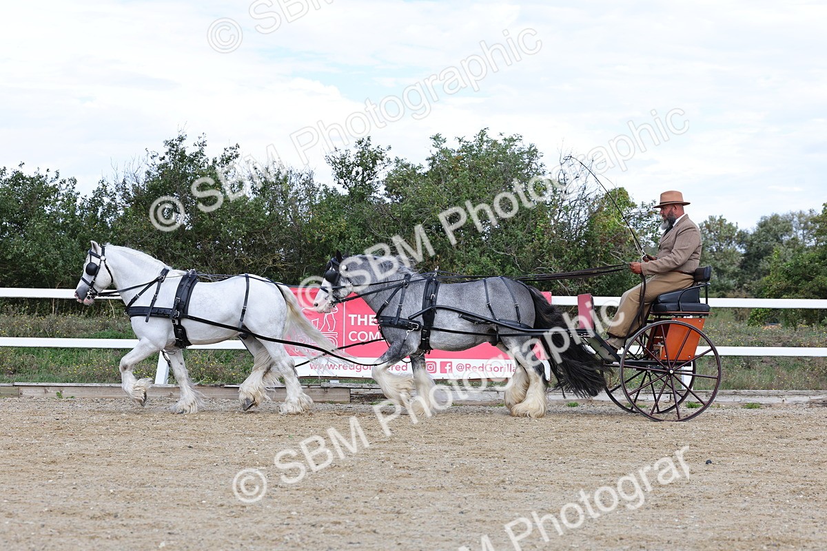 SBM_001198 - Class 16 - Pairs ,Multiples and Tandems