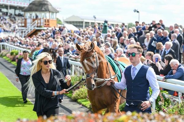 230824-Race 2-Vauban-8749 - Race 2 2.25pm Weatherbys Hamilton Lonsdale Cup Stakes