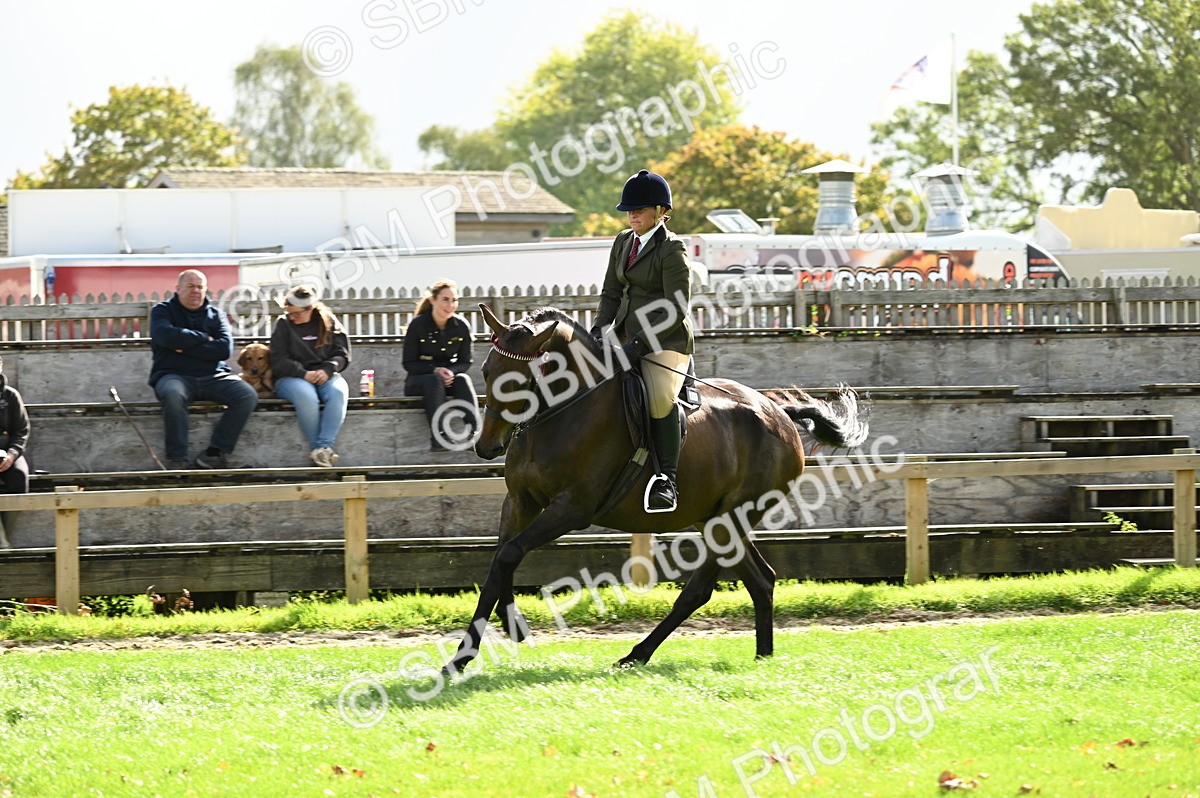 SBM_01762 - S2 - TSR Ridden Horse Showing