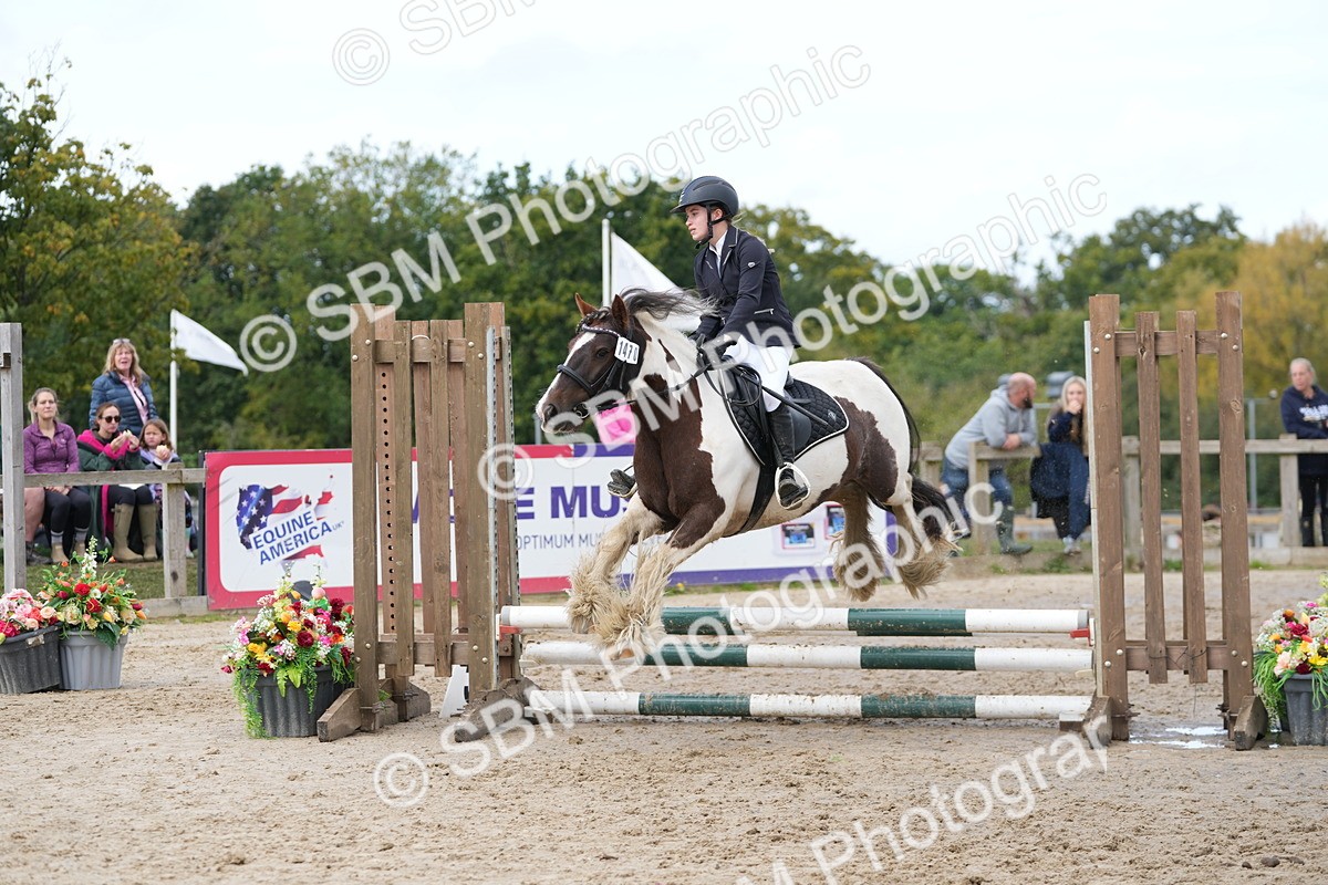 SBM_40726 - Supreme Championship Pony 50-55cm
