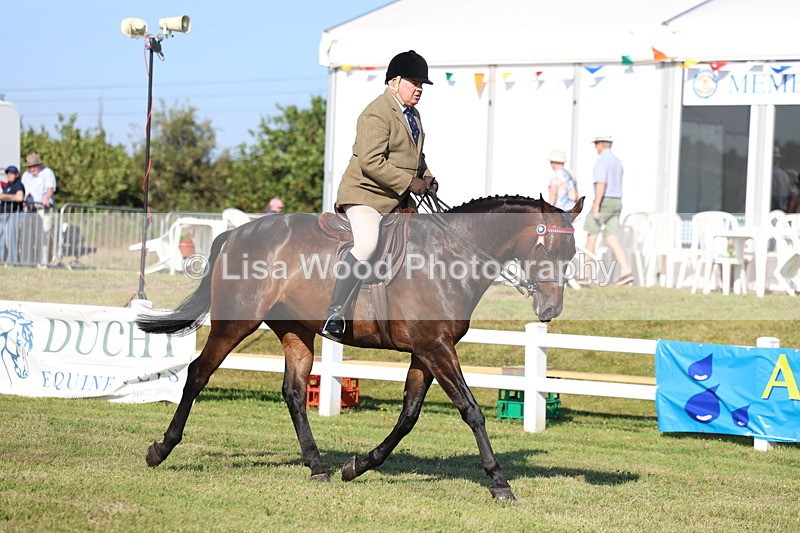 3E7A5443 - Class 2: Rising Star Large Hack/Riding Horse