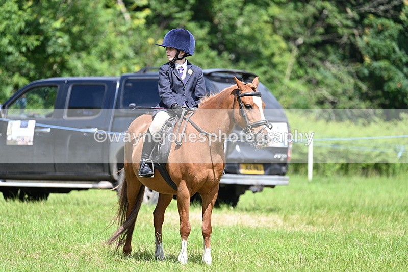 WJ7_1737 - Class 9 Pony Club Pony