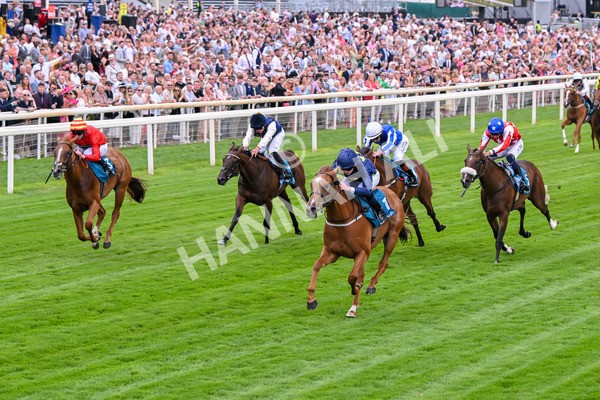 260725-Race 1-Golden Palace-7091 - Race 1 1.25pm £100K ITV7 Jackpot Today EBF Fillies' Novice Stakes