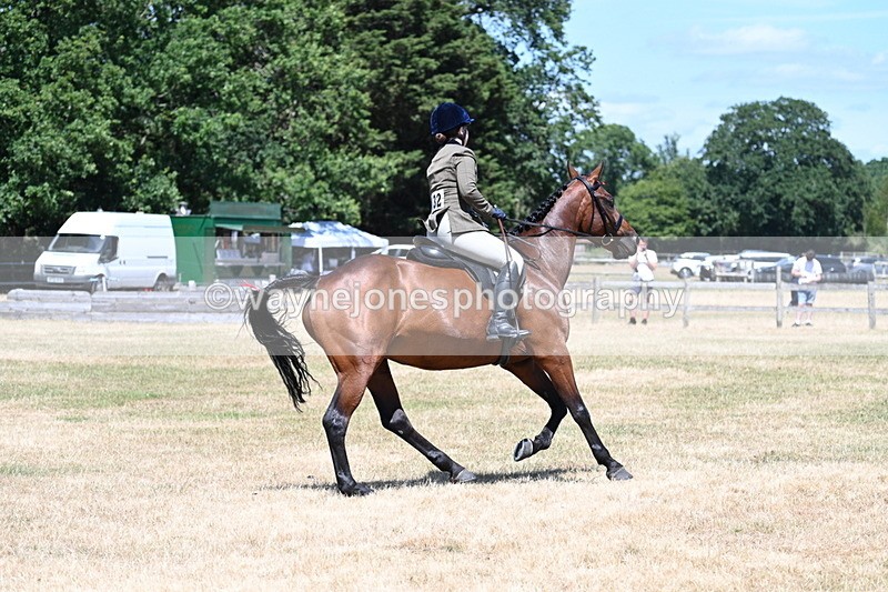 WJ7_3097 - Class 7 Riding Club Show Horse