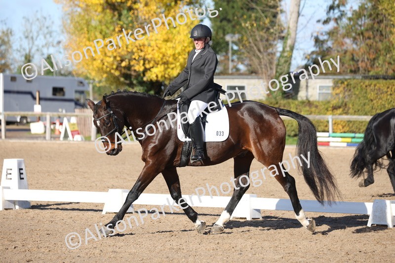 20251102-0493 - Class 3 - Novice 5