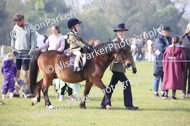 20260426-0288 - Class 30 - Tiny Tots Lead Rein