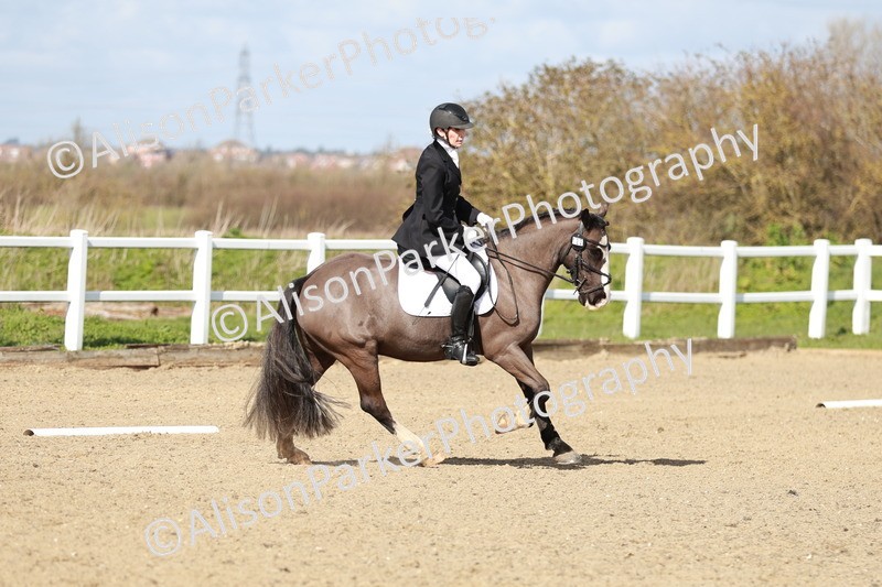 20260314-2956 - DR3 - Prelim 1