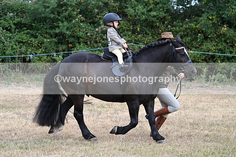 WJ7_9684 - Class 1 Lead Rein Pony