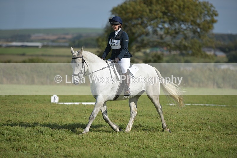 RAY_8083 - Class 2B: Trekenning Open: Dressage