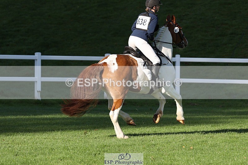 231022-100503-24308 - 638-I.FOUND.NEMO-Jacky.Jones-TrotUp+SJ