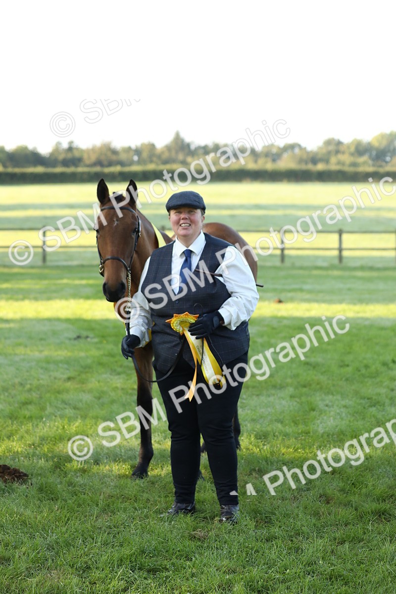 SBM_57863 - S42 - Youngstock