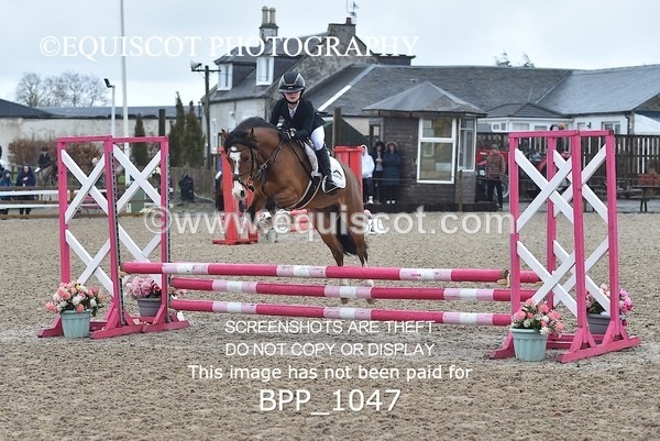 BPP_1047 - CLASS 1 Club/ Unaffiliated 60cms Open